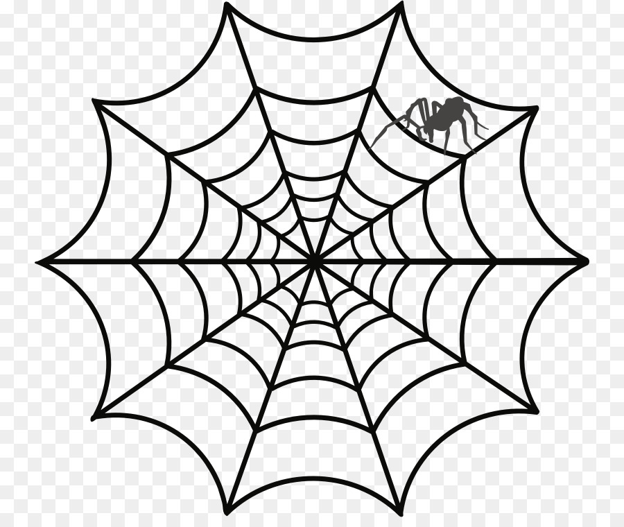 Spider web Disegno Clip art - ragnatela
