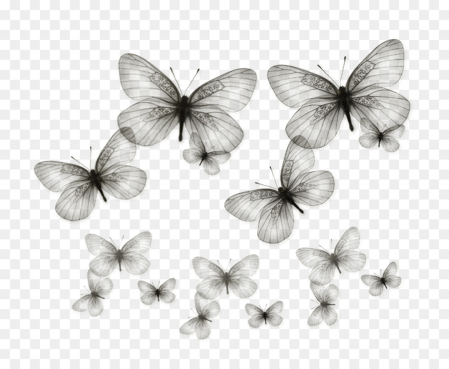 Schmetterling clip art - buterfly