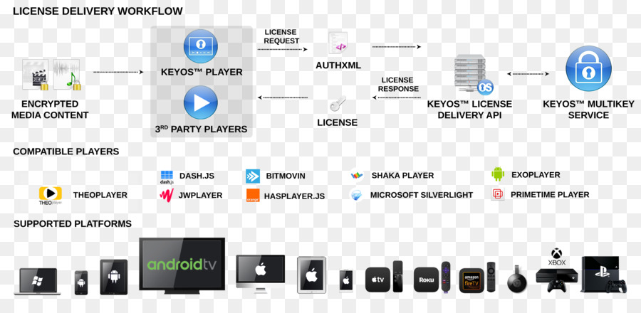 Digital rights management Computer-Software FairPlay Bitmovin Product key - Lizenz