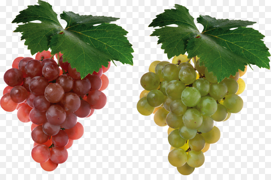 Cabernet Sauvignon Grape Juice Shiraz-Frucht - Trauben