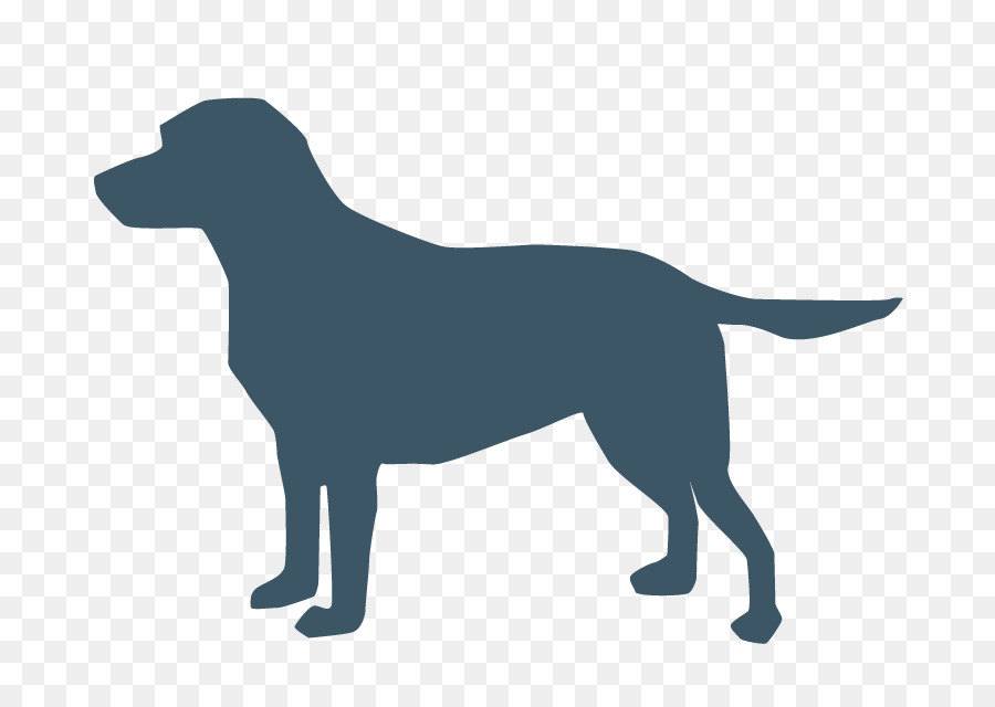 American Pit Bull Terrier, Chow Chow, Hund, Kragen Computer-Icons - niedlichen Hund