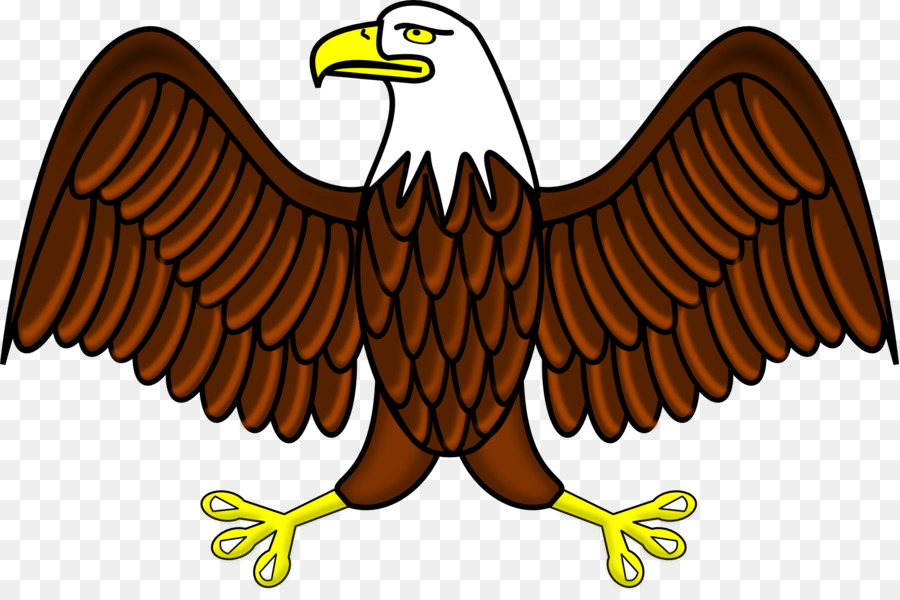Đại Bàng đầu hói Philippines Eagle Clip nghệ thuật - chim ưng