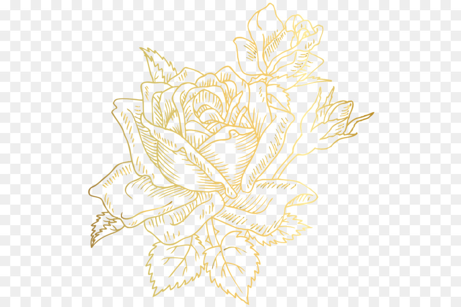 Rose Gold Flower png download - 565*600 - Free Transparent BORDERS AND