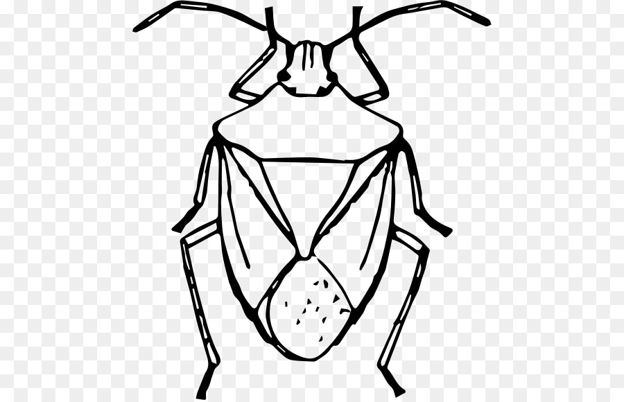 Braun marmorated stink bug Insekt Zeichnung Clip art - Insekt