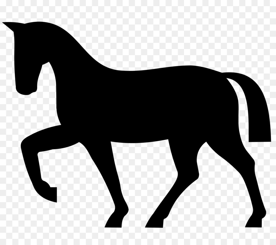 Cavallo andaluso Equestre Silhouette Clip art - corsa di cavalli