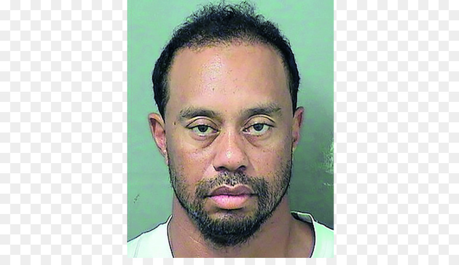 Tiger Woods Florida US Open (Golf) Arresto - Tiger Woods