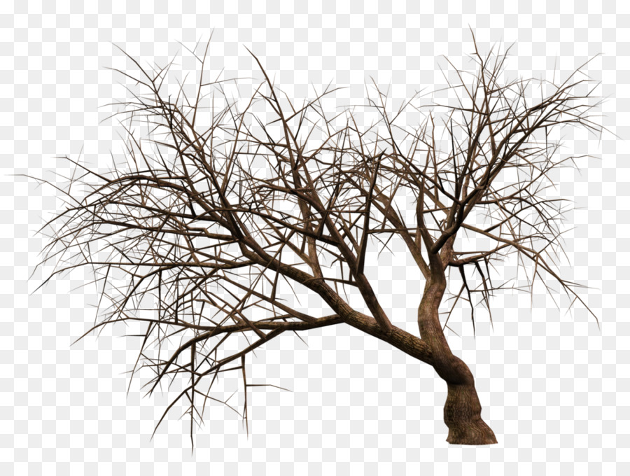 3D-rendering-Baum-Pflanze - teilen