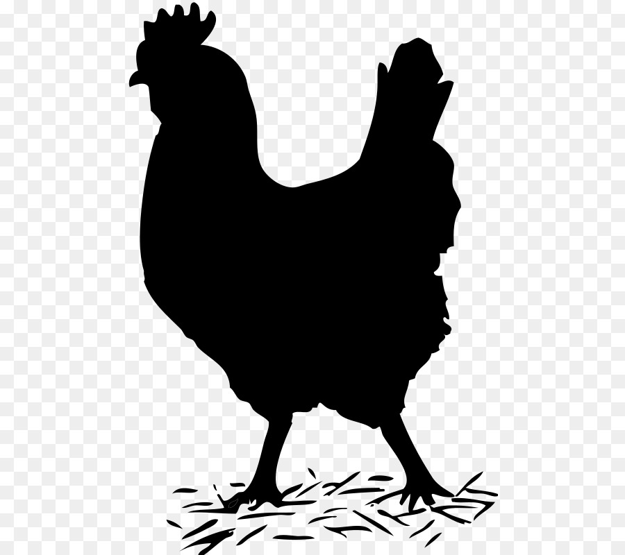 Riverview gà Rooster Clip nghệ thuật - con gà trống