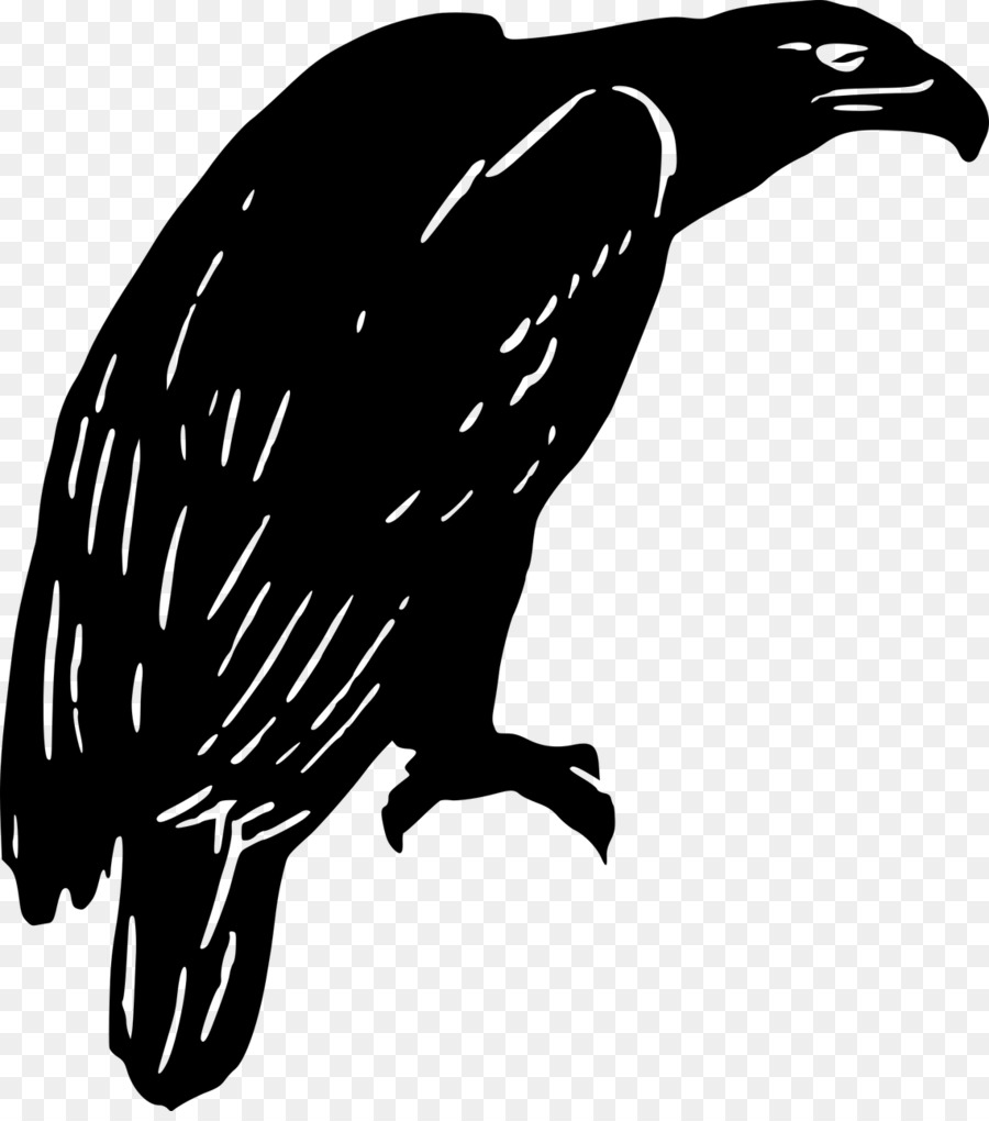 Đại bàng Clip nghệ thuật - chim ưng