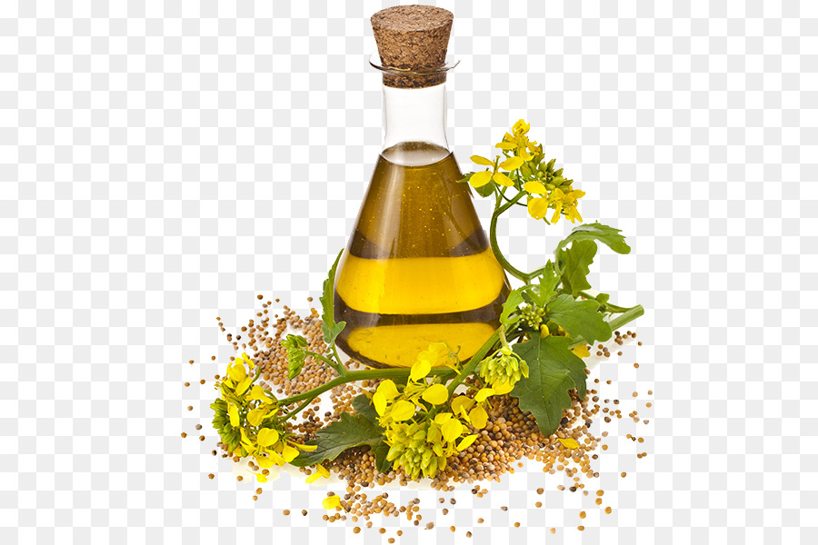 Canola olio di Colza, olio di Semi - olio di semi di girasole