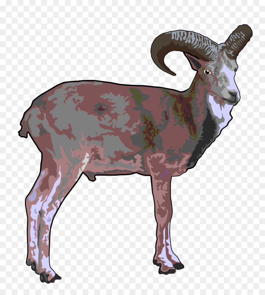Pecore Argali Capra Urial Clip art - pecore