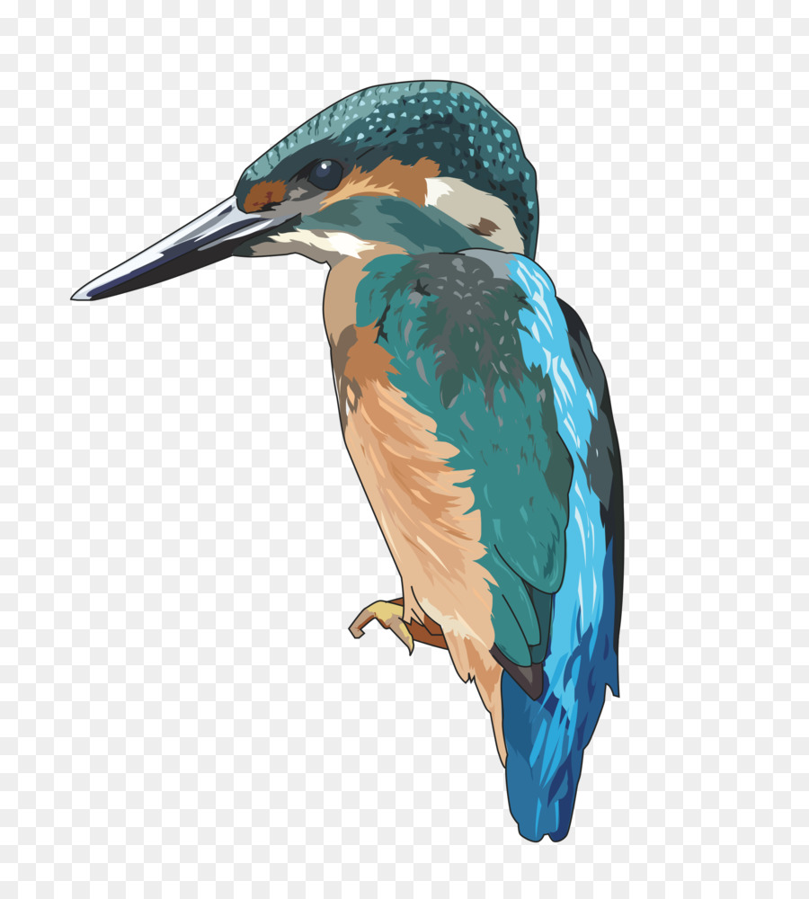 Martin pescatore, Uccello Clip art - uccello blu