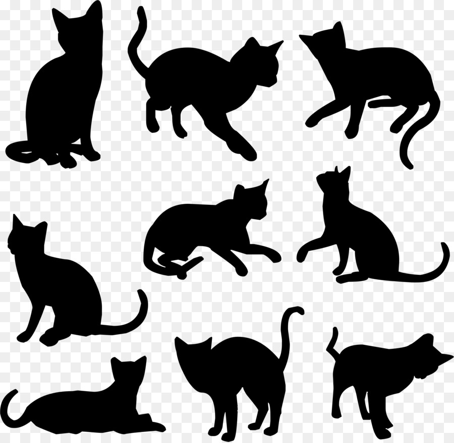 Schwarze Katze Kätzchen Felidae Silhouette - Katze Vektor