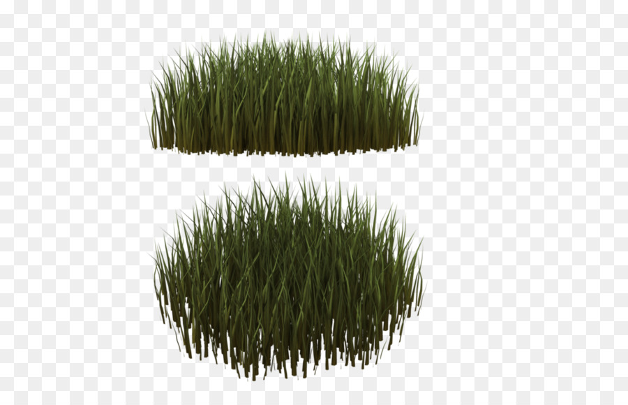 Cỏ cỏ trang Trí Kim loại cỏ Cây - cỏ