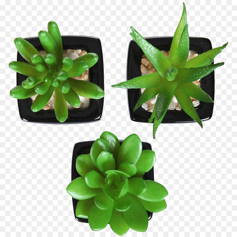 Succulenta pianta Artificiale fiore pianta d'appartamento Vaso di fiori - succulente