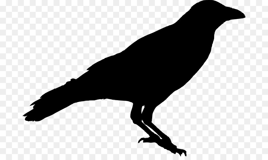 American crow Raven Silhouette-Schablone - Krähe