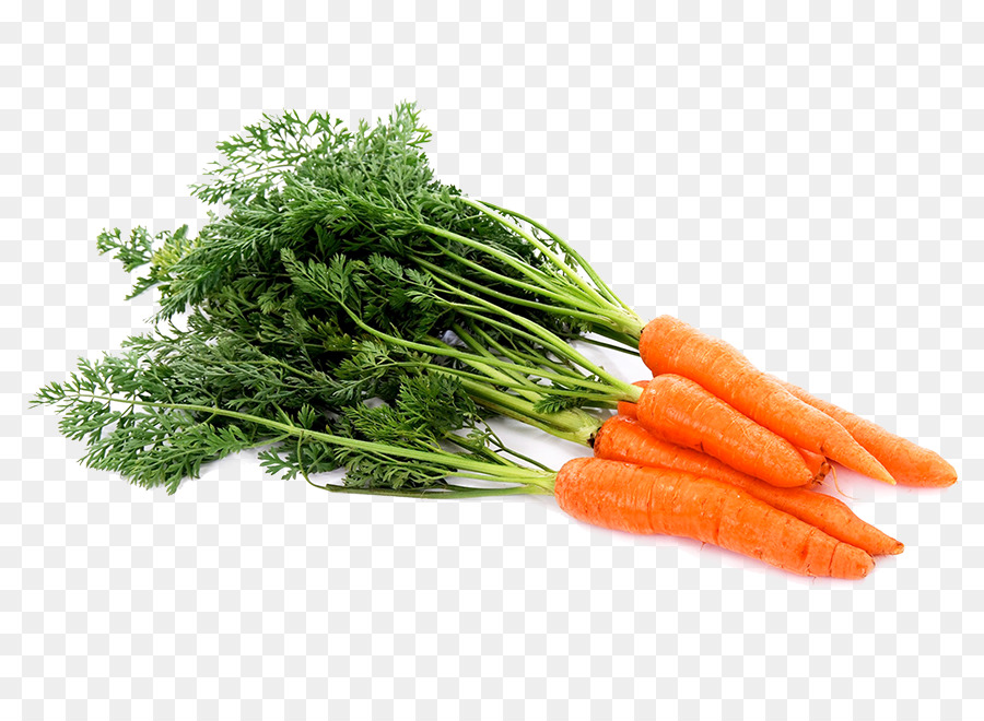 Seme di carota olio Vegetale, estratto di Carota Cibo - Grano Fealds