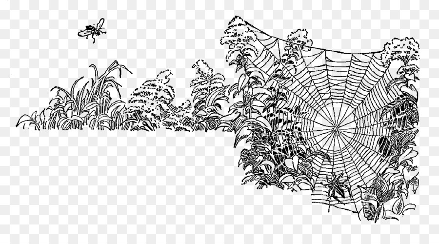 Zeichnung, Bildende Kunst - Spinnennetz
