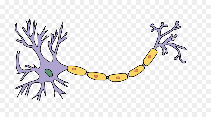 Neuron Axon Nervensystem Nerven-Myelin - Etikett