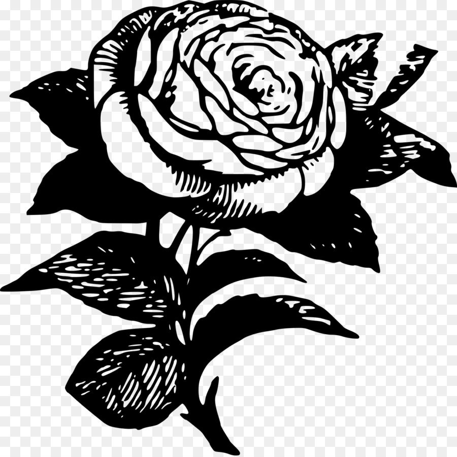 Da đen, rose Vẽ Clip nghệ thuật - rose, hình xăm