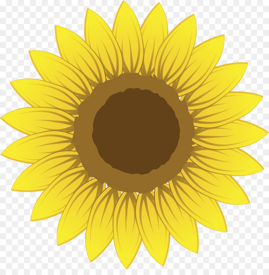 Rabatte und Zulagen Roanoke Kindertheater Menge Preis - Sonnenblumenöl
