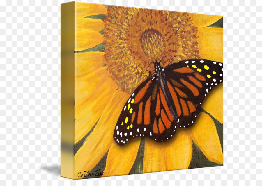 Monarch-Schmetterling Insekt Malerei, Gallery wrap - Aquarell butterfly
