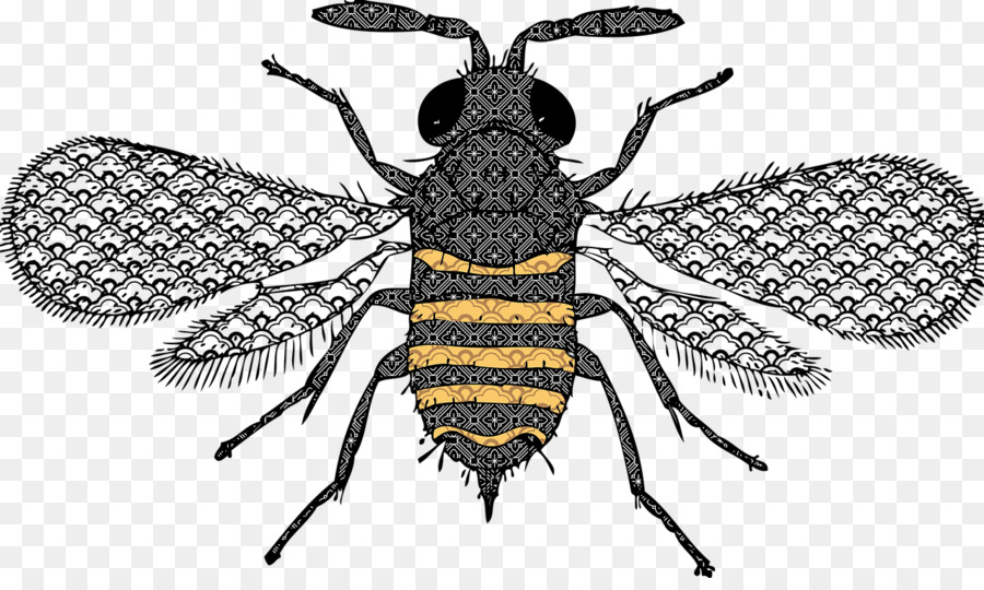 Honey Bee Queen Bee Clip Art - Insekt