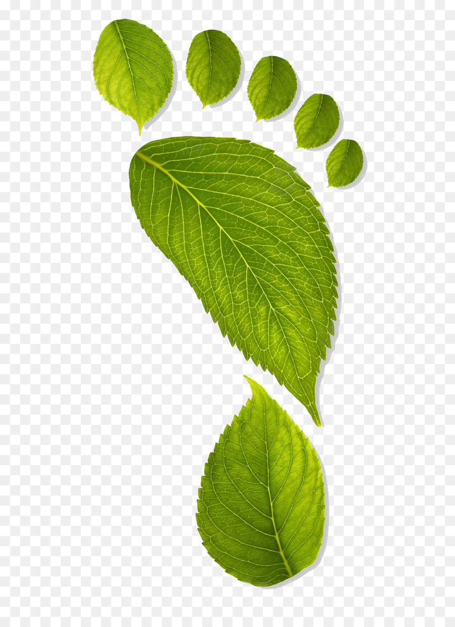 Erde Umweltfreundliche Carbon footprint Nachhaltigkeit Green - Blatt, Aquarell