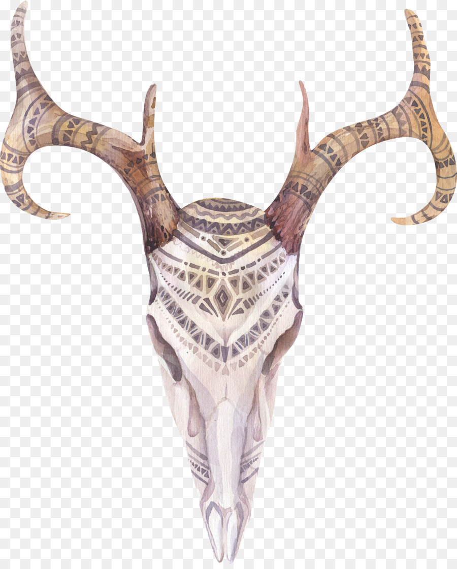 Mucca Cranio: Rosso, Bianco e Blu stile Boho-chic dipinto ad Acquerello, Disegno - antilope