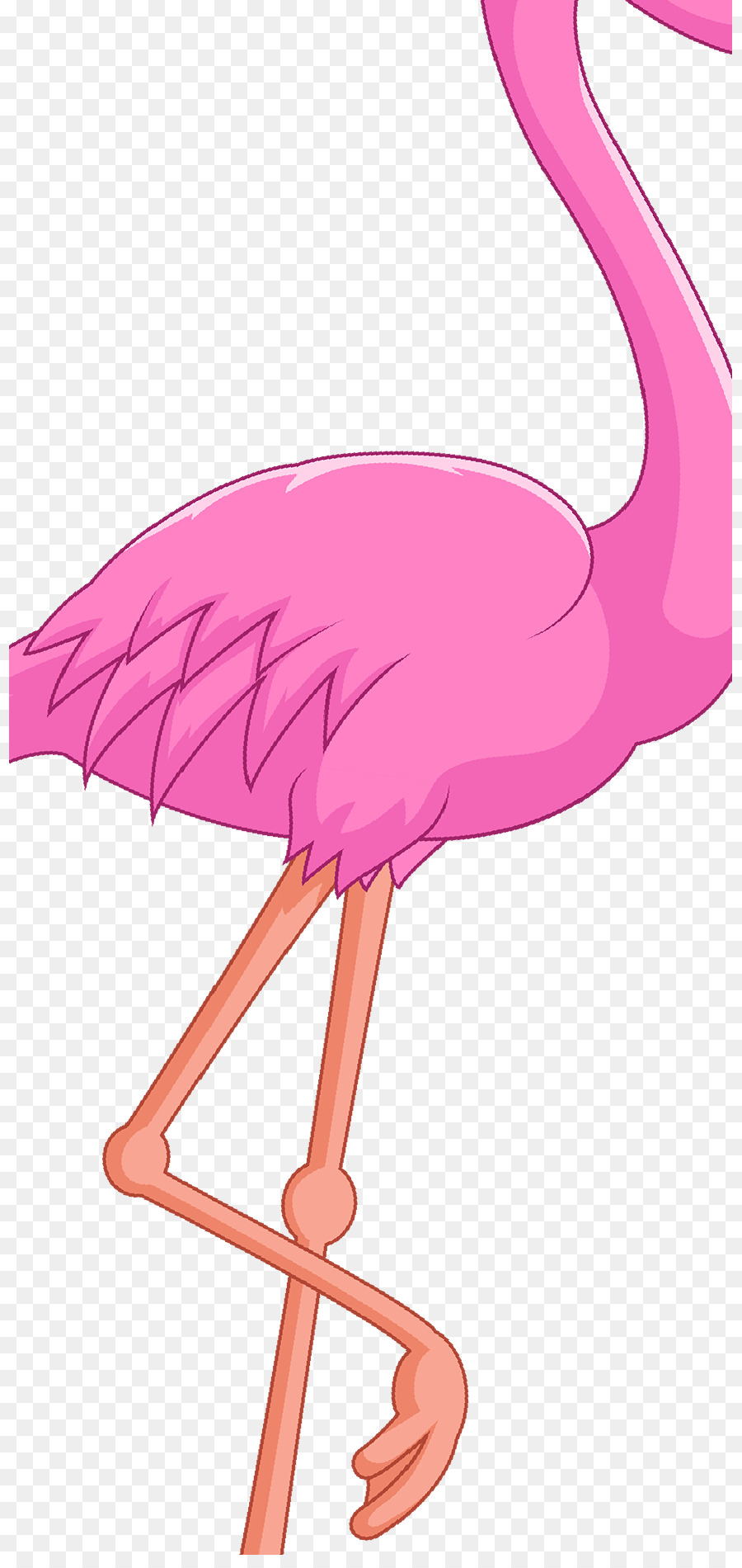 Wasser, Vogel, Wirbeltier Schnabel - Flamingo