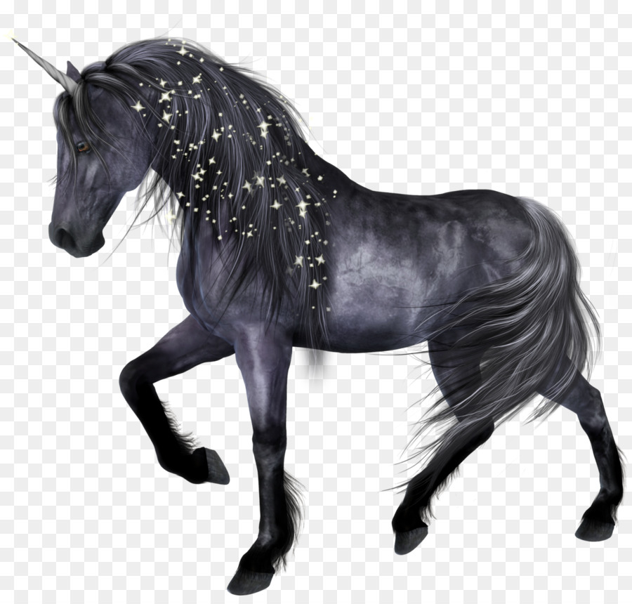 Cavallo Clip art - cavallo