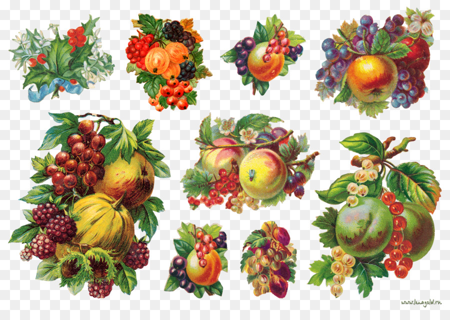 Di Frutta A Bacca Carta Alimentare Vegetale - bacche