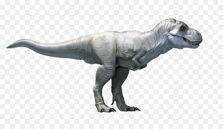 Tirannosauro Dinosauri Talarurus Velociraptor Ankylosaurus - 