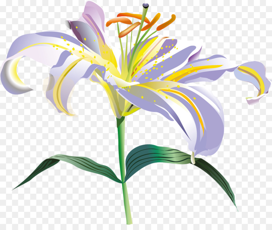 Hoa Lilium Clip nghệ thuật - quỹ