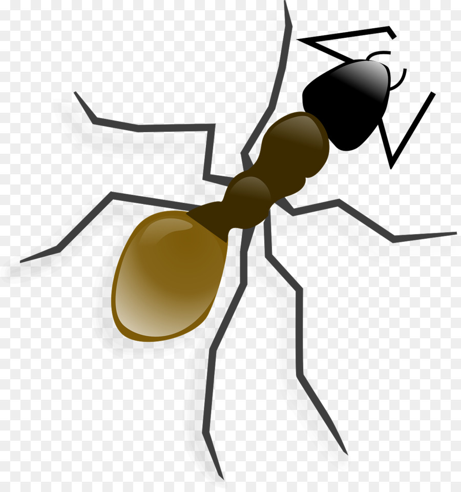 Ant Computer Icons Clip art - Insekt