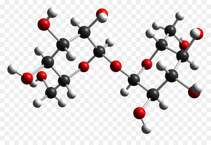 Trealosio Disaccaride Molecola Di Glucosio Fungo - Molecola