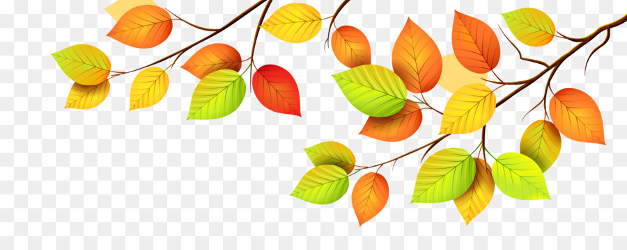 foglia d'autunno di colore - autunno