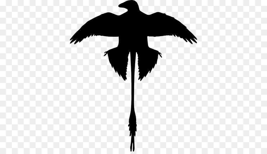 Nó Cung Cấp Thông Tin Chim Anchiornis Khủng Long Feather - khủng long véc tơ