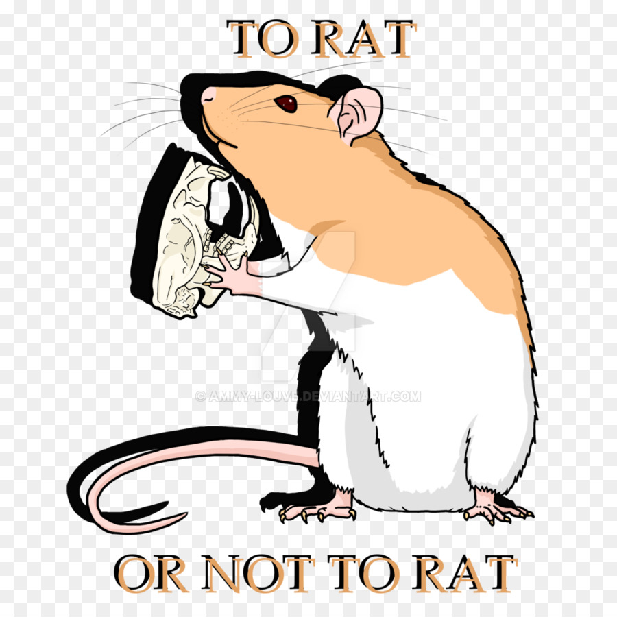 Nagetier Ratte Muroidea Clip-art - Ratte & Maus