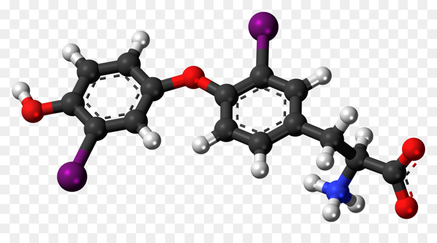 Tích Dopamine Amino acid Levodopa Phenylalanine - Phân tử