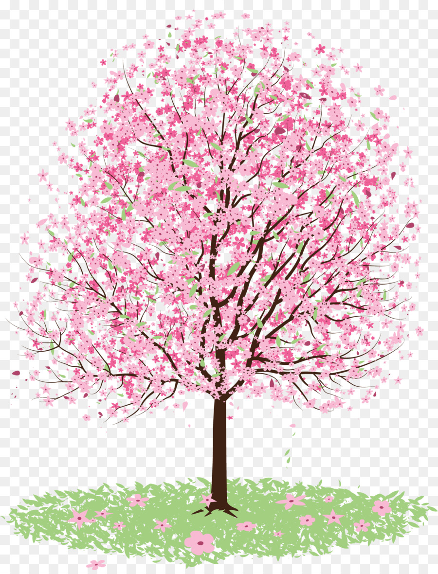 Cherry Blossom Tree Drawing png download - 1768*2302 - Free Transparent  Cherry Blossom png Download. - CleanPNG / KissPNG