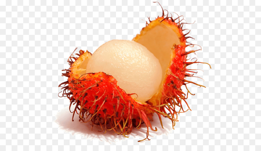 Rambutan Tropische Frucht Lychee Pulasan - Cashew