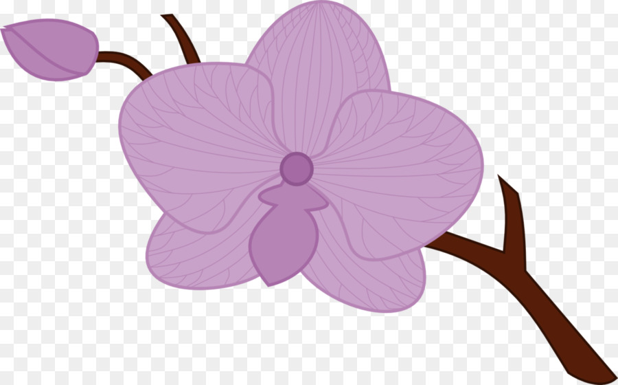 Zeichnung Orchideen Clip-art - lila