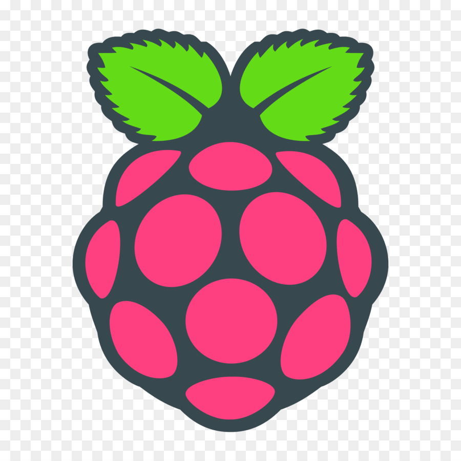 Raspberry Pi Foundation Computer & Gehäuse Raspbian - Himbeeren