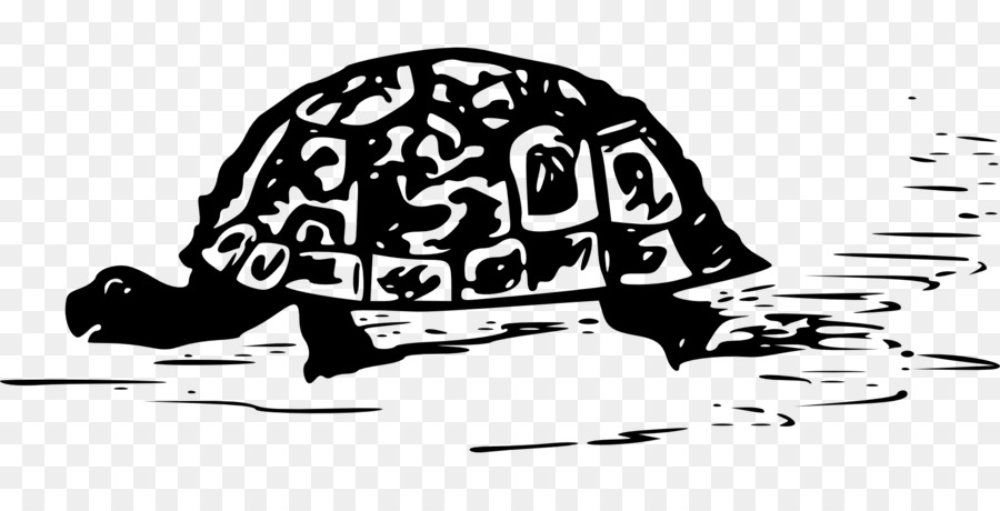 Schildkröte Reptil Schildkröte clipart - Schildkröte