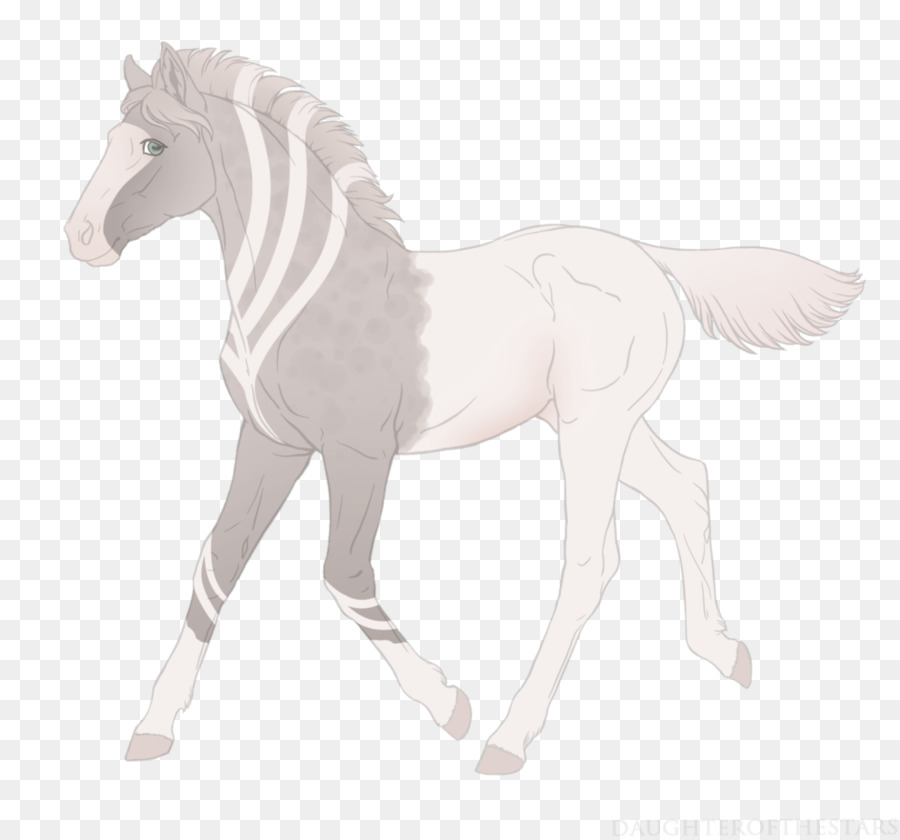 Mustang Con Ngựa Ngựa Pony Mare - Chuột Và Chuột