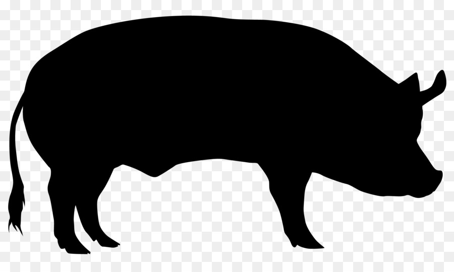 Hausschwein Rinder Schafe Silhouette - Schwein