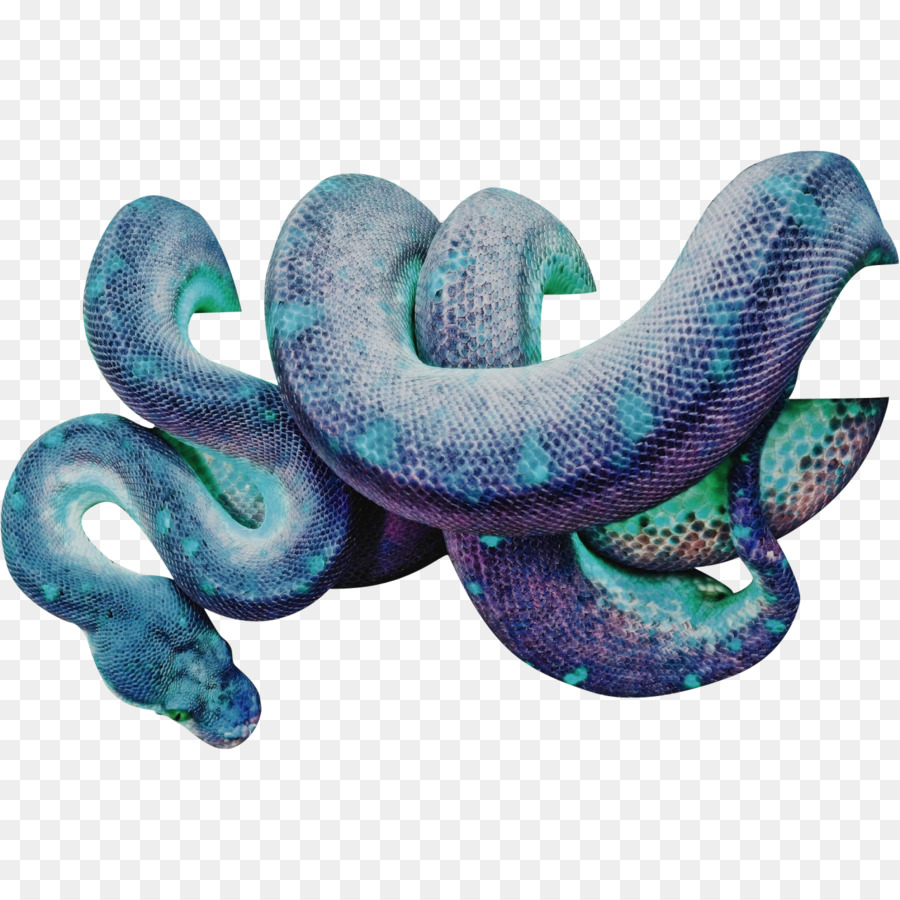 Serpente scala di Rettile, Lucertola Vipere - serpenti