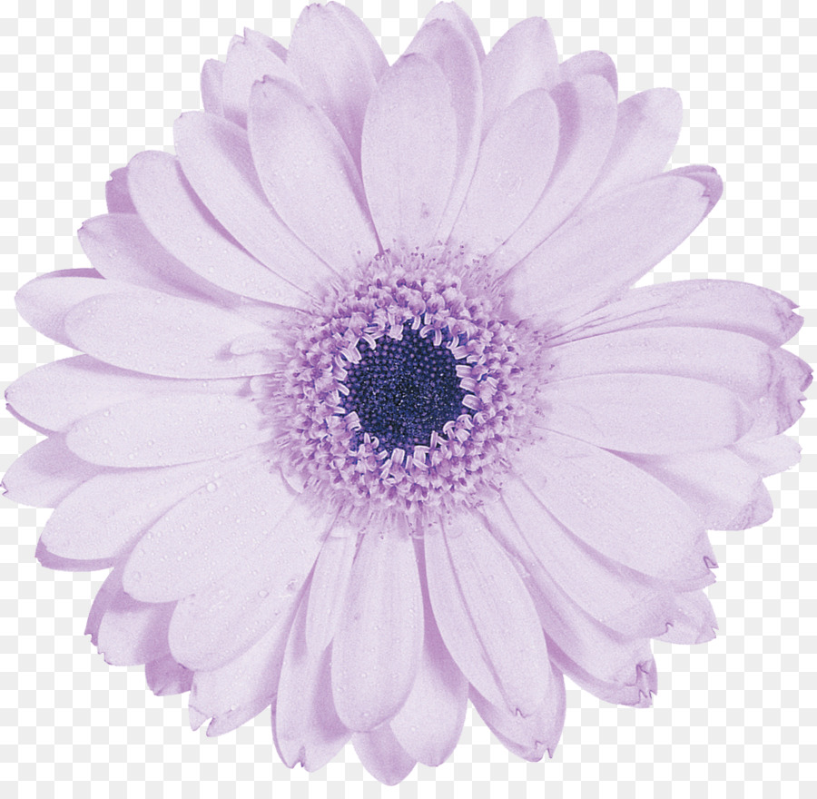 Black And White Flower png download - 1200*1155 - Free Transparent Flower  png Download. - CleanPNG / KissPNG