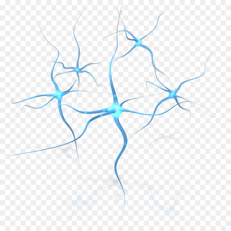 Neuron Menschliche Gehirn Neuropsychologie Clip-art - Neuronen